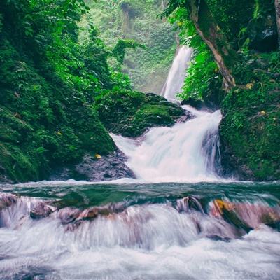 碰碰合手机版
